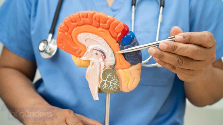 Alzheimer'a Umut Işığı